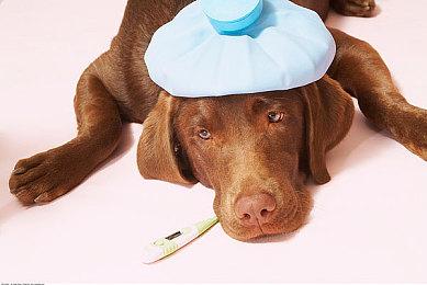 未公布的单机版《泰坦陨落》游戏被EA砍掉